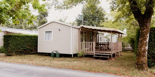 M-H Anémone.resized