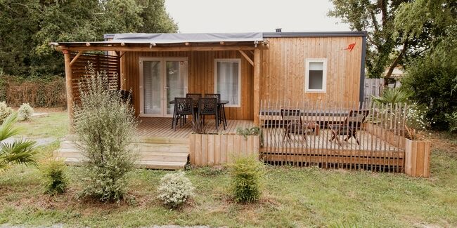 M-H Magnolia.resized