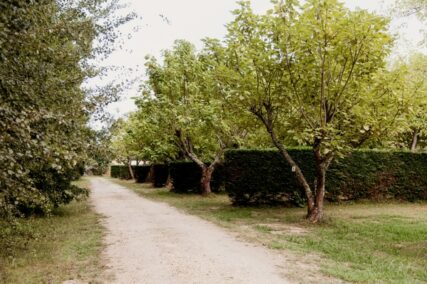 Allées emplacement Tentes en Camping Médoc