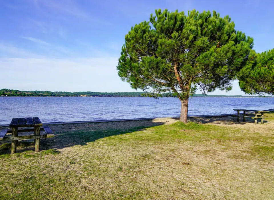 Carcans bord du Lac