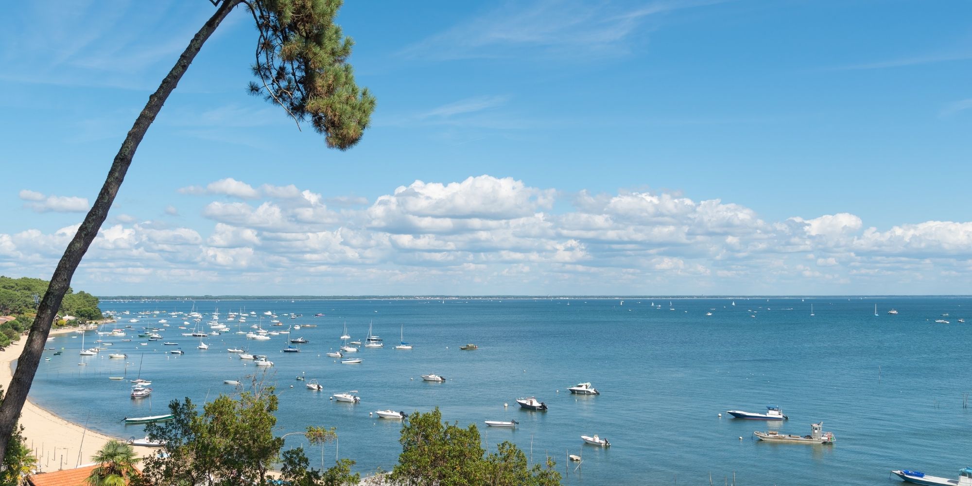 Bassin d'arcachon (5)