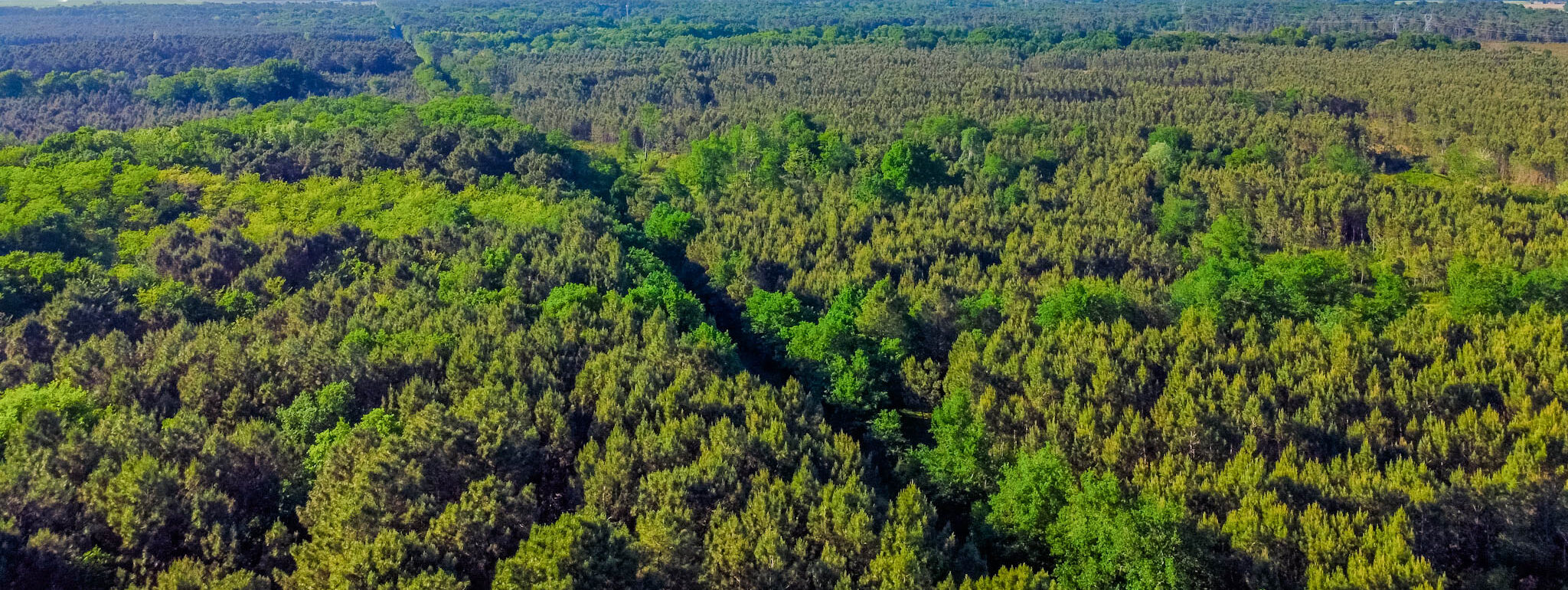 Camping Le Paradis groene ruimtes