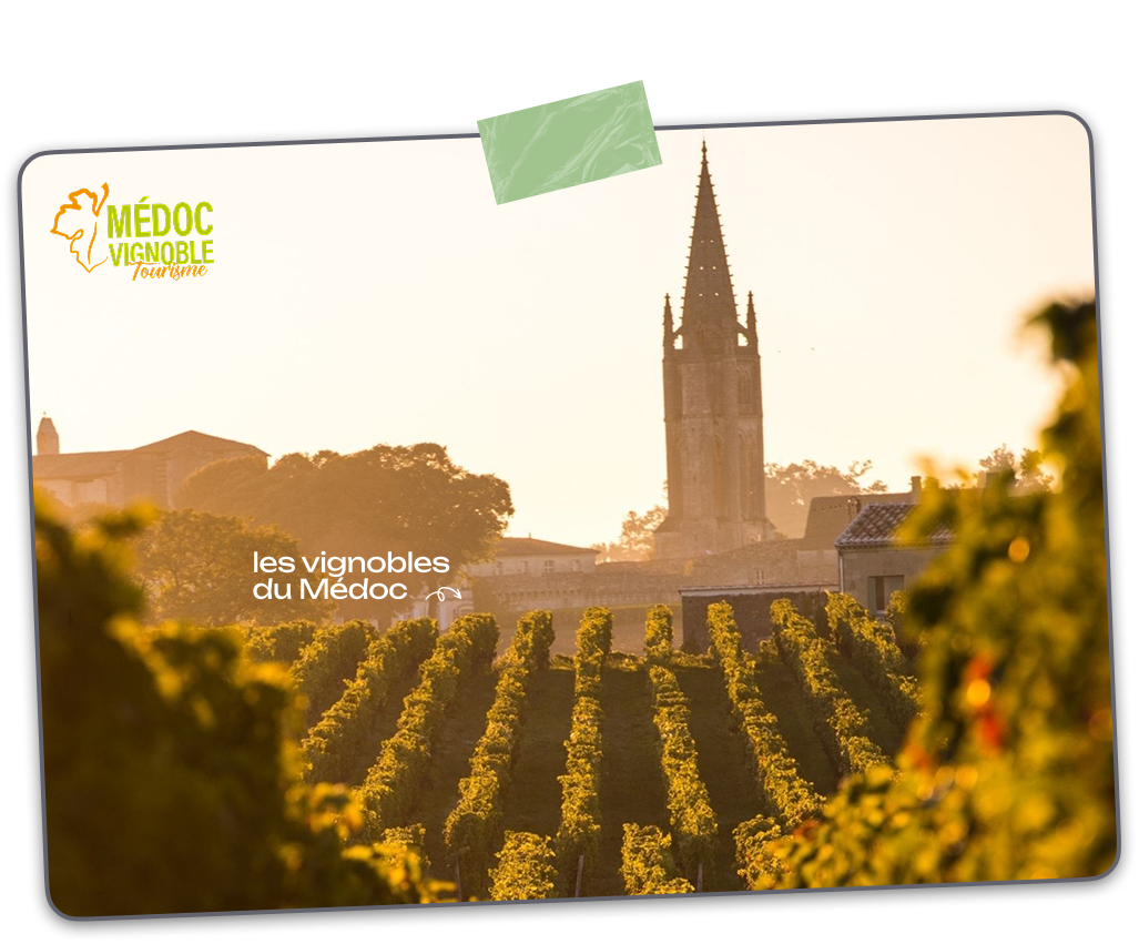 vakantie camping bij wijngaarden