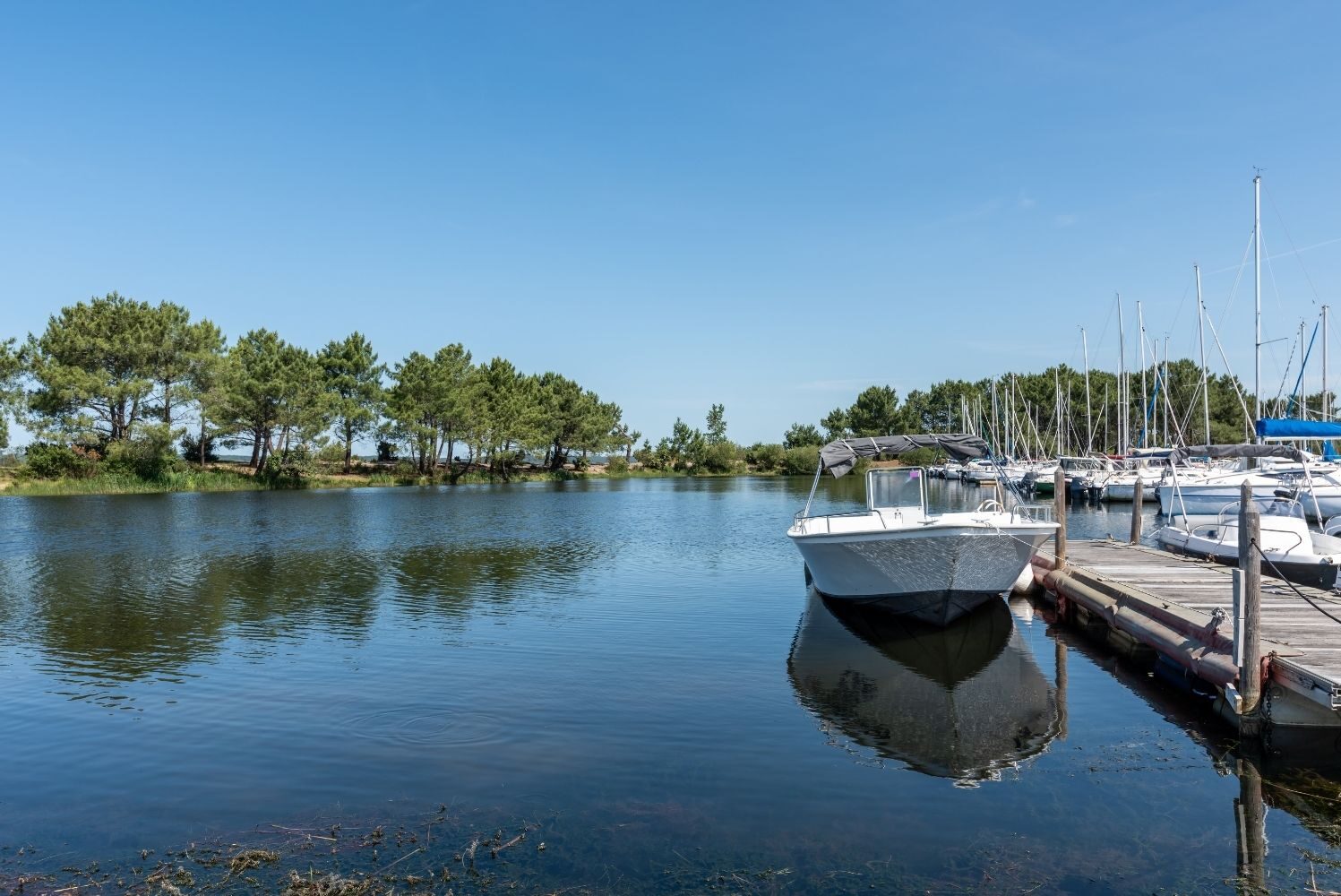 camping vacances proche du lac Hourtin