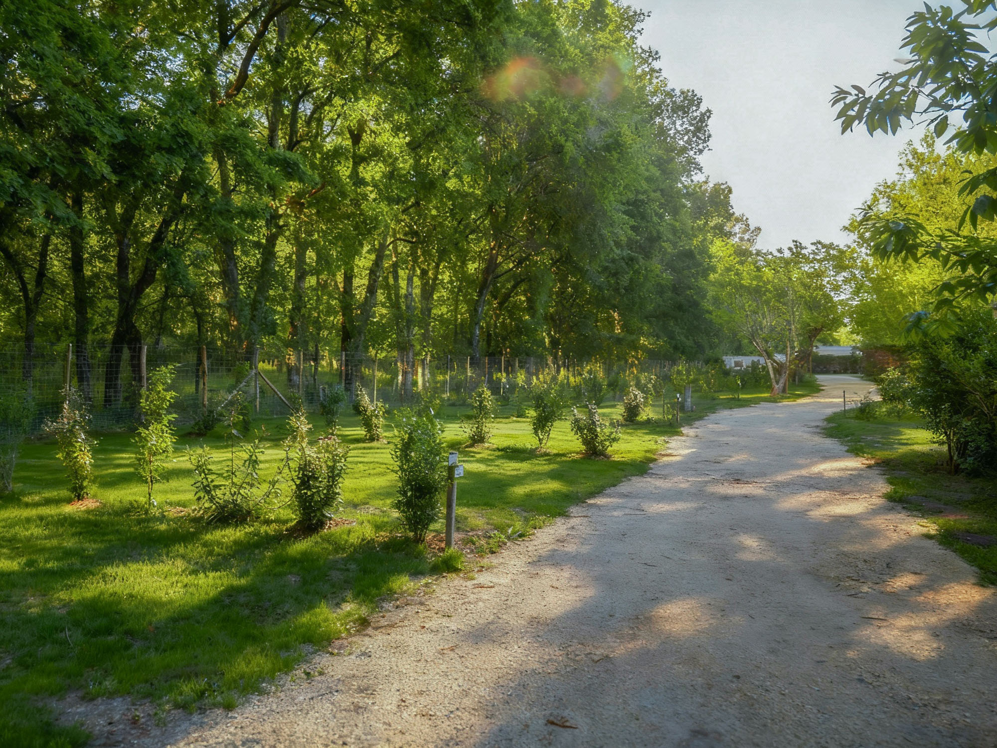 location emplacement en médoc