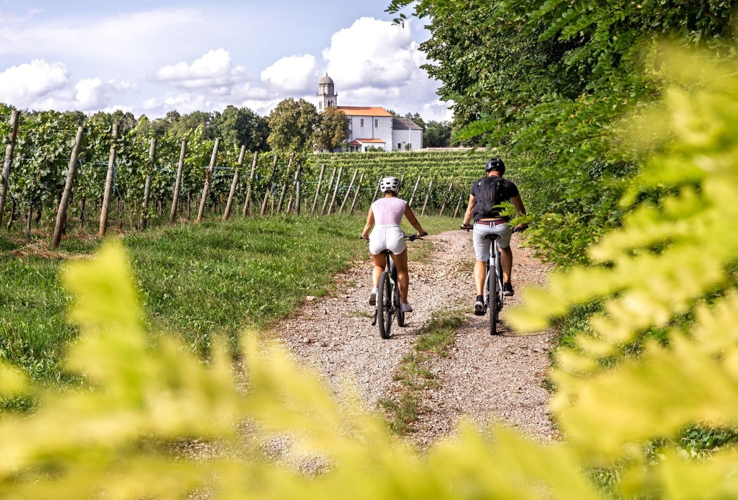 Rondleidingen door de Médoc